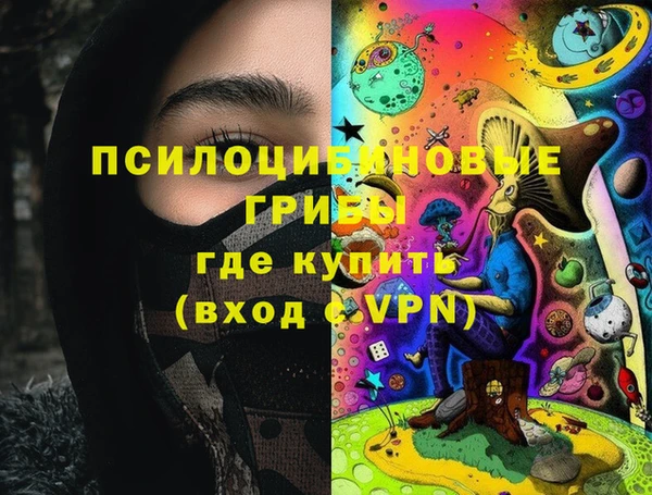 МДПВ Алзамай