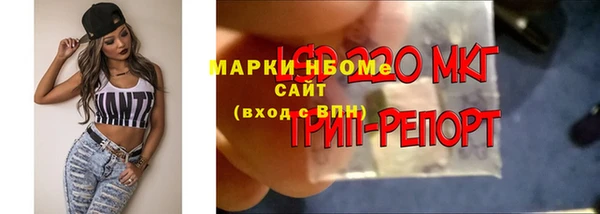 спайс Алексин
