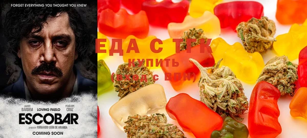 МДПВ Алзамай