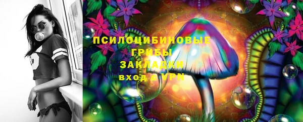 МДПВ Алзамай