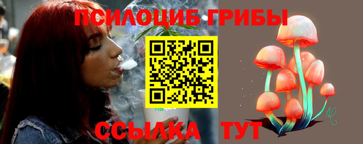 Рязань  купить   Вход с VPN  Галлюциногенные грибы мицелий  Галлюциногенные грибы GOLDEN TEACHER 
