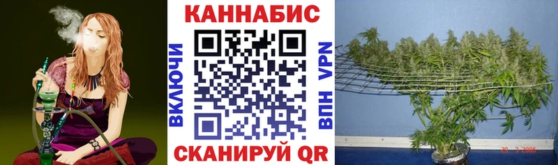 Марихуана тримм  Рязань 